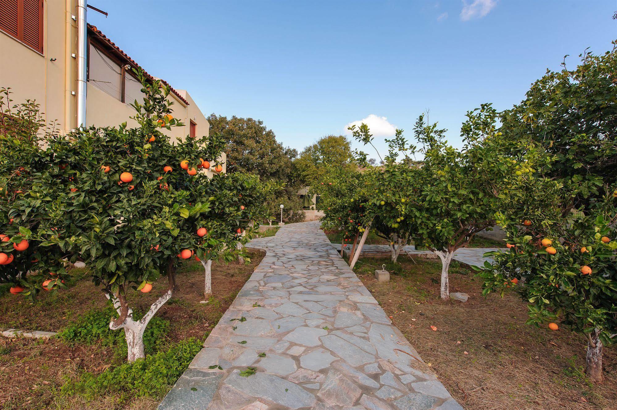 Holiday Rooms Otziás Exterior photo